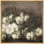 «Vintage White Roses Timeless Floral Elegance Nature Wilderness», illustrations rustiques zen encadrées sur toile-1601764731-1601764729