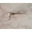 Silver Stag Drawer Knob