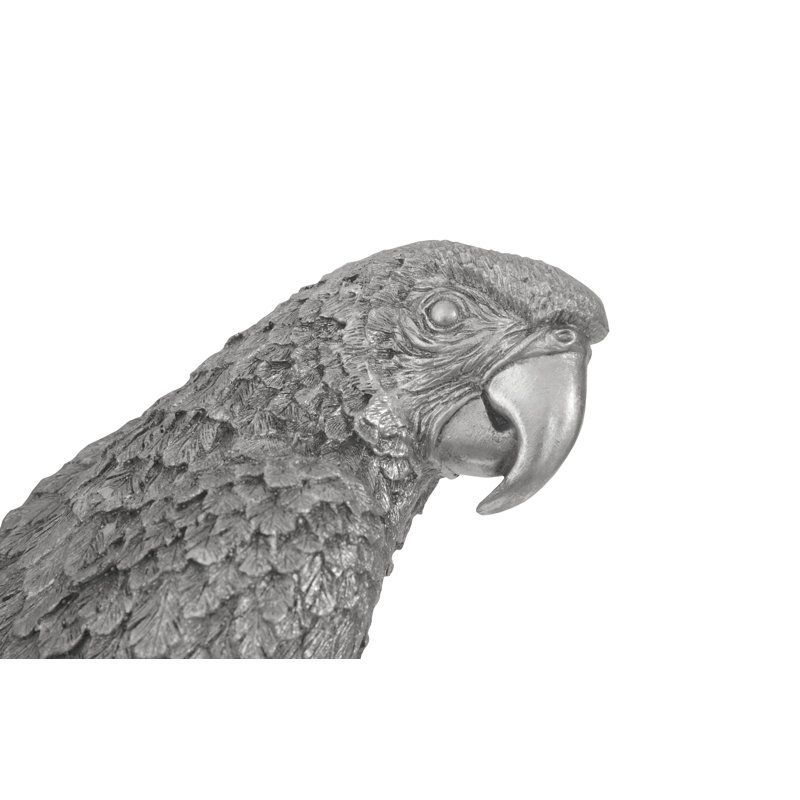 Animals Parrot Wall Décor