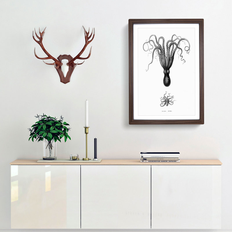 Vintage Octopus Illustration by E.F. Jomard - Picture Frame Drawing Print, 36cm H x 27cm W x 2cm D, Walnut Framed