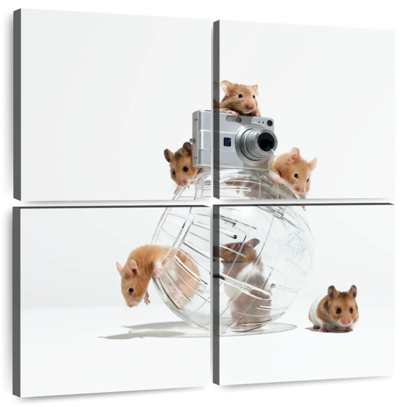 Brampt Picture Perfect Hamsters, 38" H x 38" W
