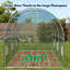 Polytunnel Greenhouse 3x2m