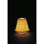 Lumière de fantaisie 4,33 po Lithophane Dewitt