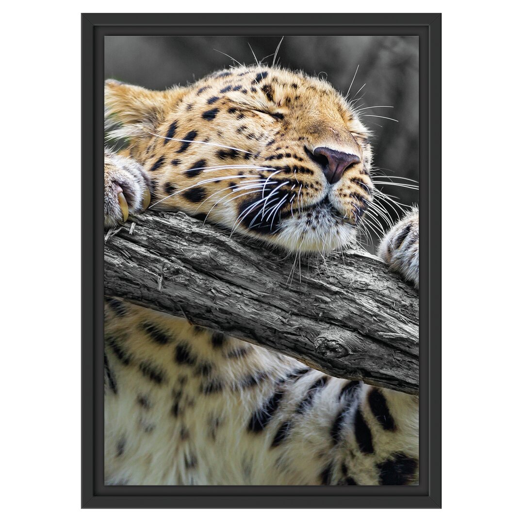 Gerahmtes Wandbild verspielter kleiner Leopard