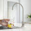 Système de filtration sous-évier à 2 étages KRAUS Purita avec robinet de robinet d'eau potable à poignée simple-104338041