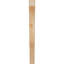 Attelle de genou Funston-1812888342-1812888344-1803675912