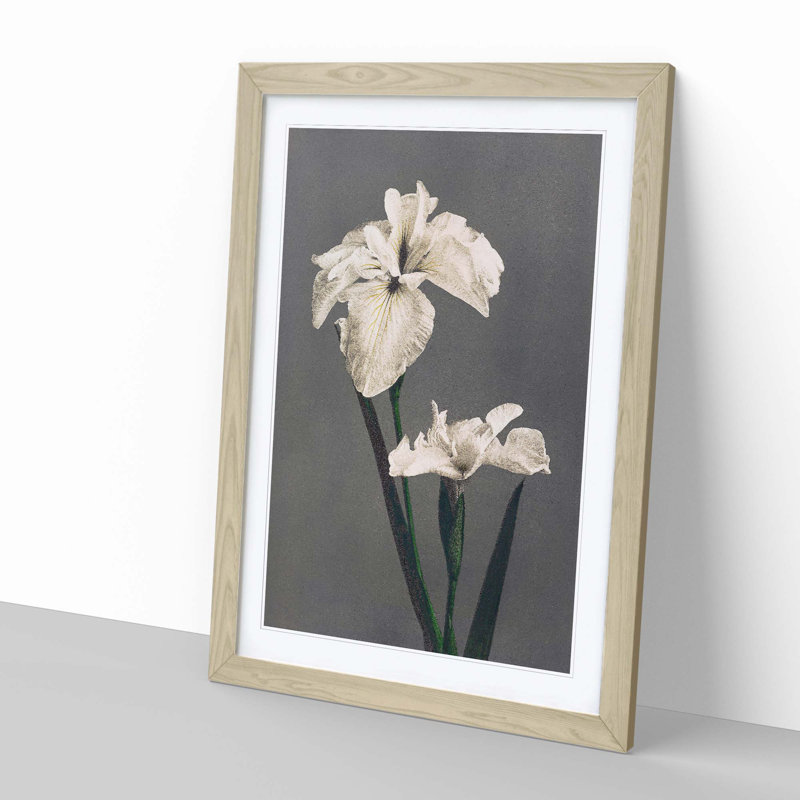 White Iris Flower by Kazumasa Ogawa - Picture Frame Art Prints, 48cm H x 36cm W x 2cm D, Oak Framed