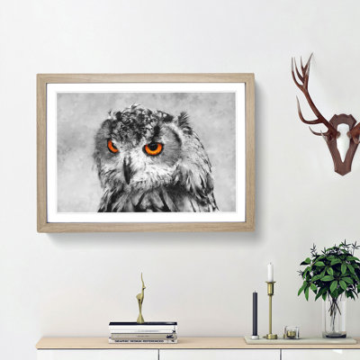 Orange Eyed Owl - Picture Frame Graphic Art Print