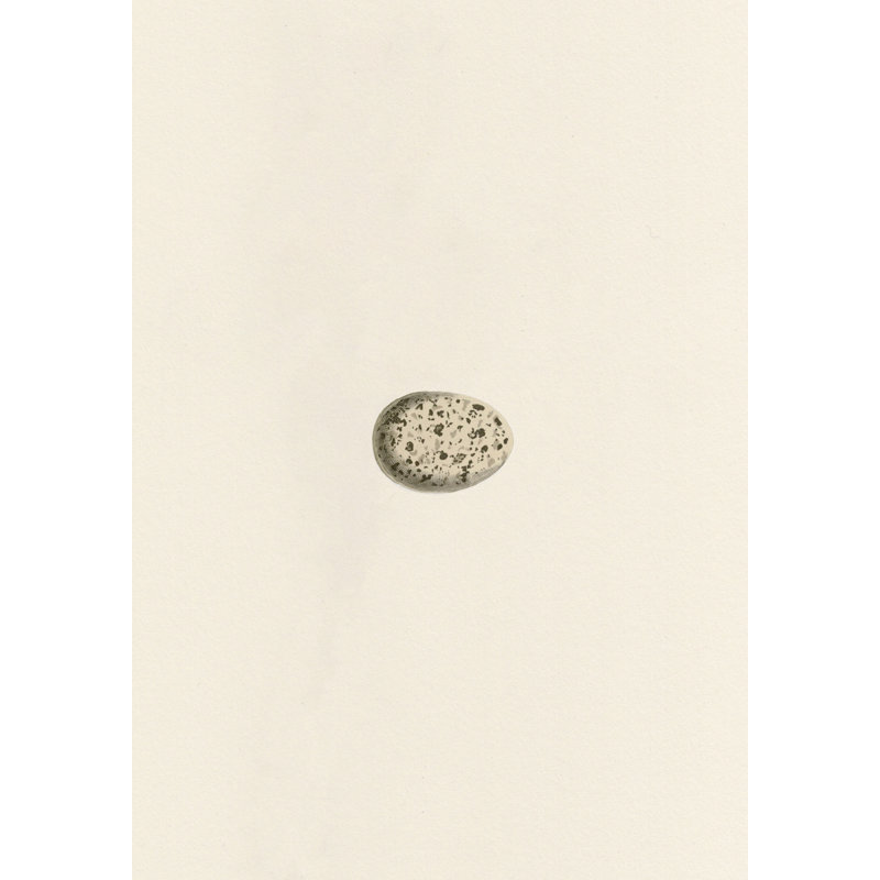 Abstract Print by Studio L57 Nouvelle, 15" H x 12" W