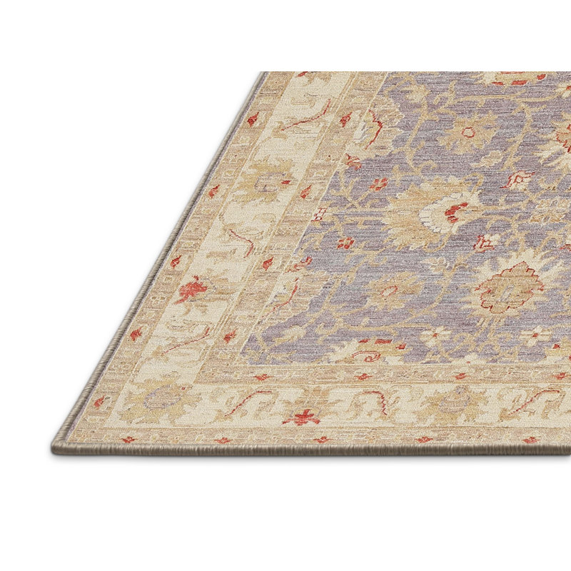 Oriental Indoor Rug, Rectangle 4' x 6'