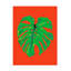 Feuille de Monstera rouge sur toile