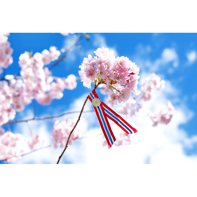 Norwegian 17'Th Of May Ribbon by Undefined Undefined - Wrapped Canvas Print, 30cm H x 46cm W