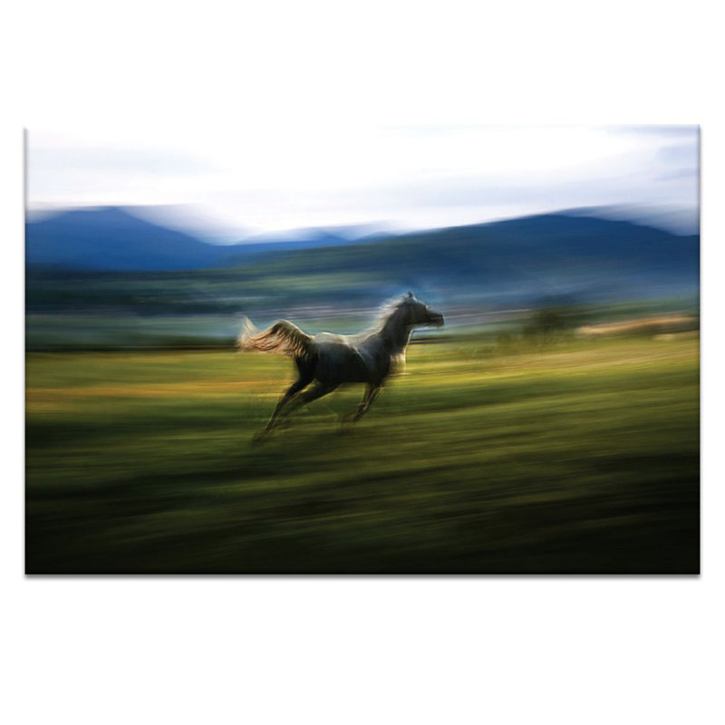 Print on Canvas, 102cm H x 152cm W, Black Floater Frame