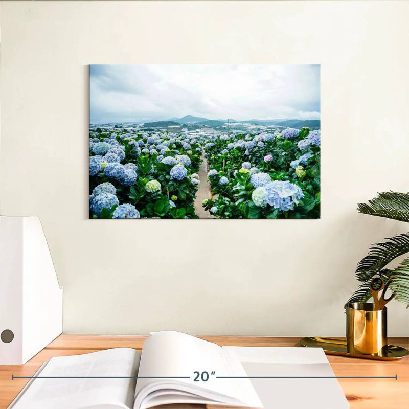 Alvord Hydrangea Farm, 8" H x 12" W