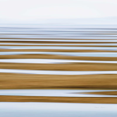 " Sand Flats In Fog "