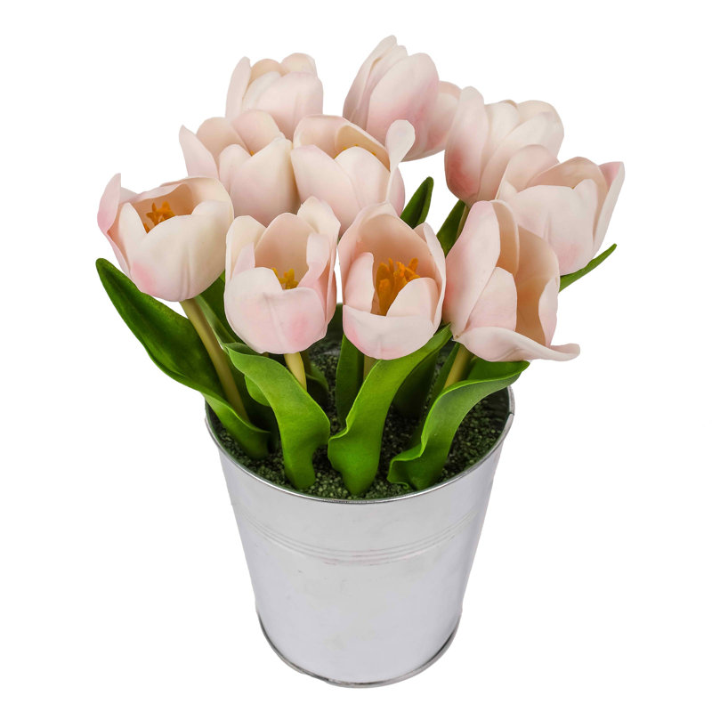 Bouquet de tulipes, Rose