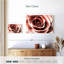 Fleur Harnek or rose-111831577