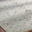 Hand Knotted Wool Oriental Area Rug in Ivory-1354249254