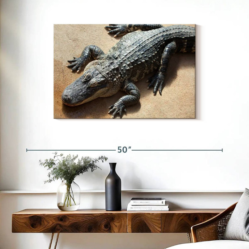 Crowle Alligator, 24" H x 36" W