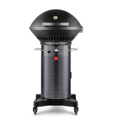 Ninja OG701 Woodfire Outdoor Grill, 7-in-1 Master Grill, BBQ Smoker