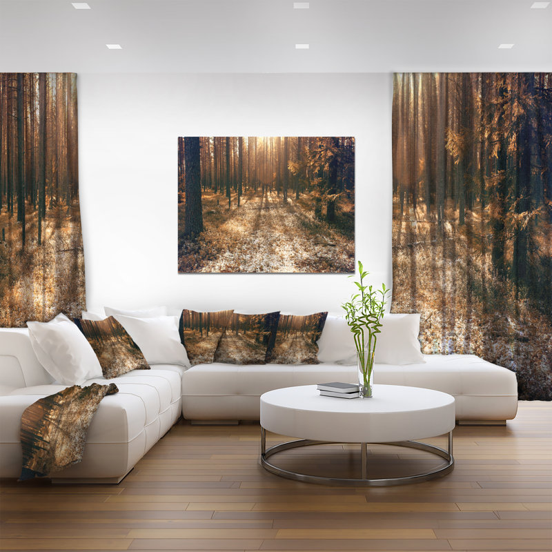 Road in Dark Wooded Forest - Reproduction de photo sur toile tendue, H 16 po x l 32 po
