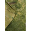 Tapis vert en coton 8 pi 0 po x 5 pi One-of-a-Kind