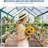 6 x 8 FT Greenhouse for Outside, Polycarbonate Greenhouses with Aluminum Frame, Sliding Door, Adjustable Roof Vent for Backyard, Outdoor Green Houses Garden Backyard, Patio-123013873