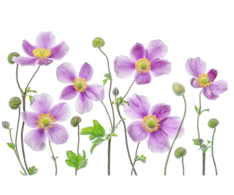 Wrapped Canvas Print, 60.96 cm H x 91.44 cm W