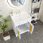 Ensemble de meuble-lavabo simple 24 po Quatashia