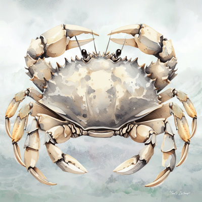Cape Cod Crab