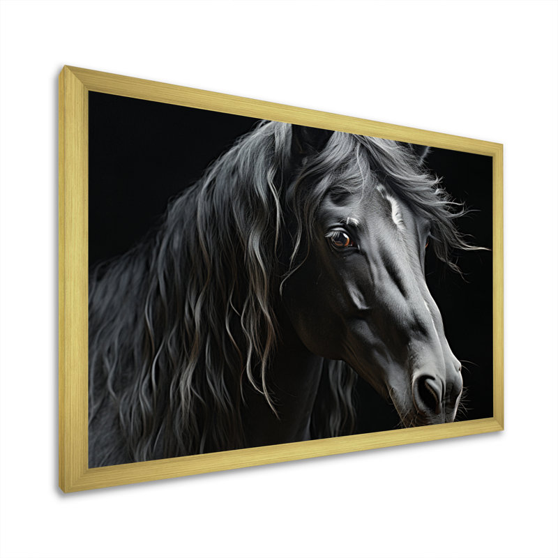 Black White Horse Portrait - Animals Canvas Prints, H 34 po x l 44 po x P 1,5 po, Encadrement doré