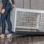 Caisse pour animaux-97966505