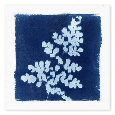 «Flora Cyanorp I», reproduction d'art sur toile tendue