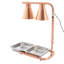 Lampe chauffante électrique double 500W pour service alimentaire-2028210074