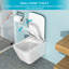 Cuvette de toilette murale avec siège à fermeture douce