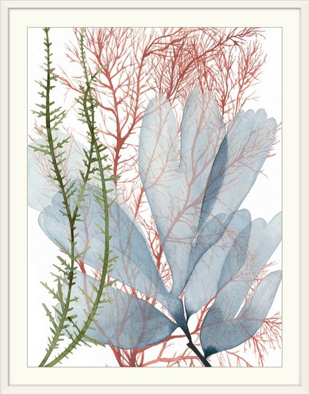 «Seaweed Flow I» par Grace Popp, impression, H 32 po x l 26 po x P 1 po, Cadre blanc
