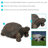 Martinez-Wilson Tortoise Statue