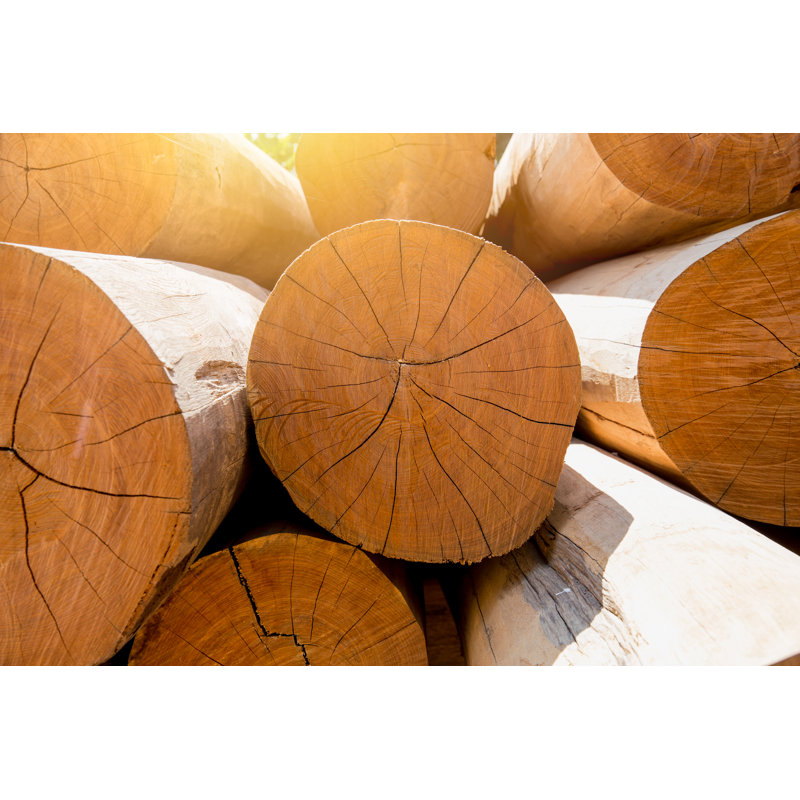 Stack Of Large Wood Log by Coffeekai - Wrapped Canvas Print, 81cm H x 122cm W