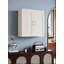 Armoire murale avec 2 portes et 2 tablettes pour le rangement de la cuisine