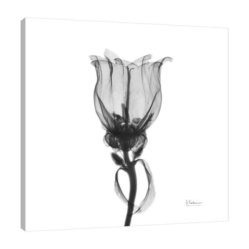 «Canterbury Bell», toile tendue par Albert Koetsier, H 18 po x l 18 po x P 1,5 po