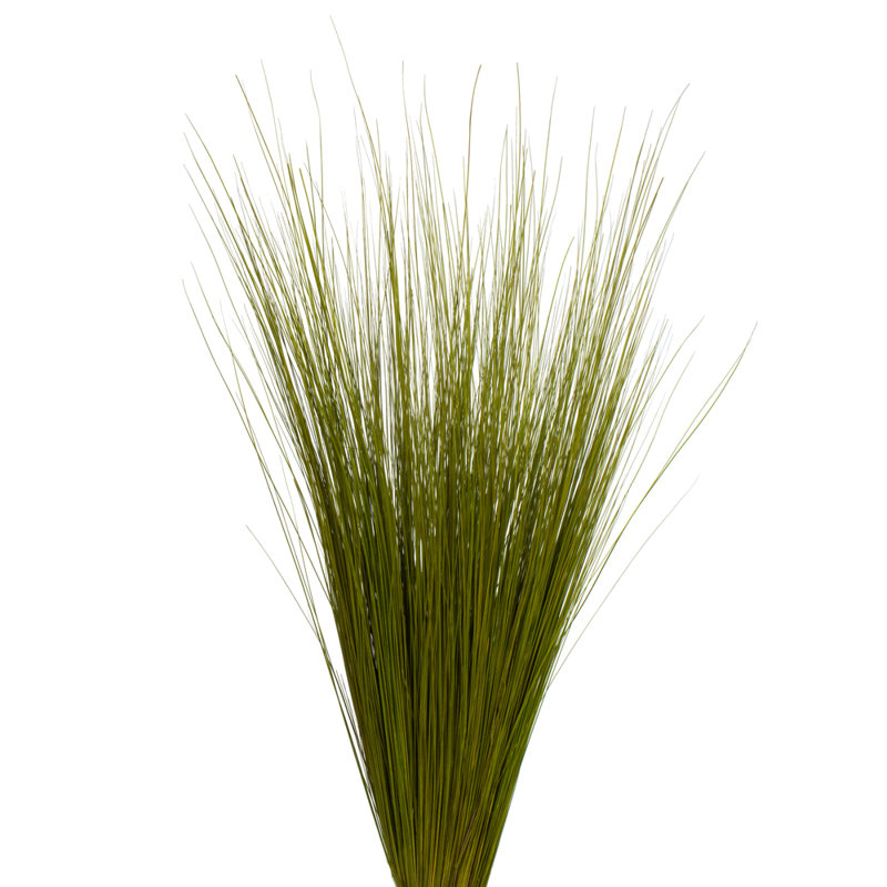 Faux Bright Grass Grass Plant Preserved