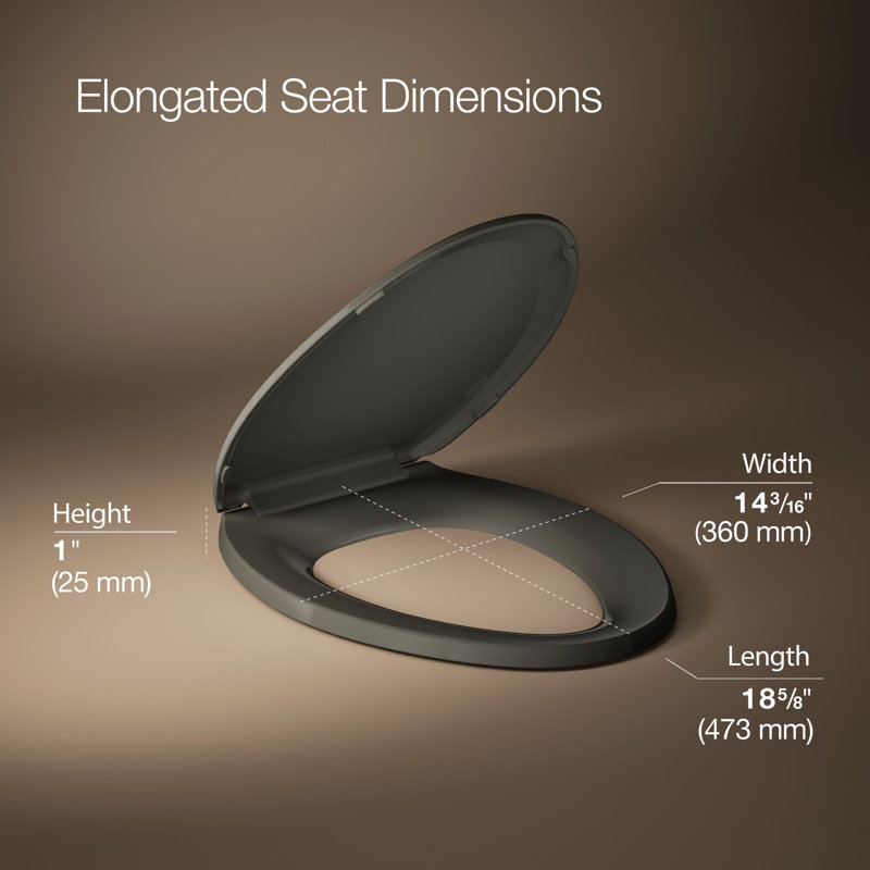 Lustra with Quick-Release Hinges Toilet Seat, Thunder Gray, Elongated