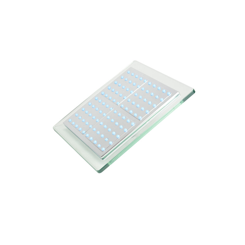 Rain Handheld Shower Head 2.5 GPM