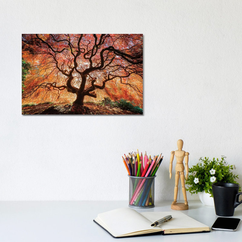 USA, Washington, Seattle, Kubota Japanese Garden. Japanese Maple Tree In Autumn by Jaynes Gallery - Wrapped Canvas Gallery-Wrapped Canvas Giclée