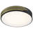 Jaylein Acrylic Flush Mount