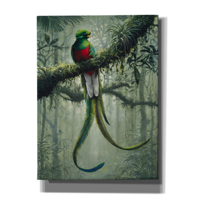 Epic Graffiti «Resplendent Quetzal 2» par Harro Maa
