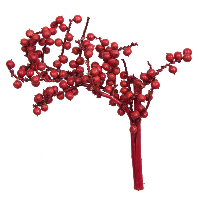 0.25'' Plant