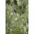 Premium Machine Washable Cerrito AMF558 Fern Rug-103978634