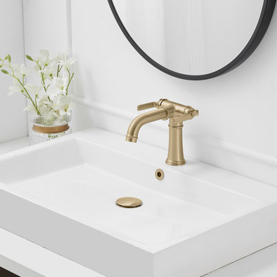 Single-Hole 2-handle Bathroom Faucet with Drain Assembly