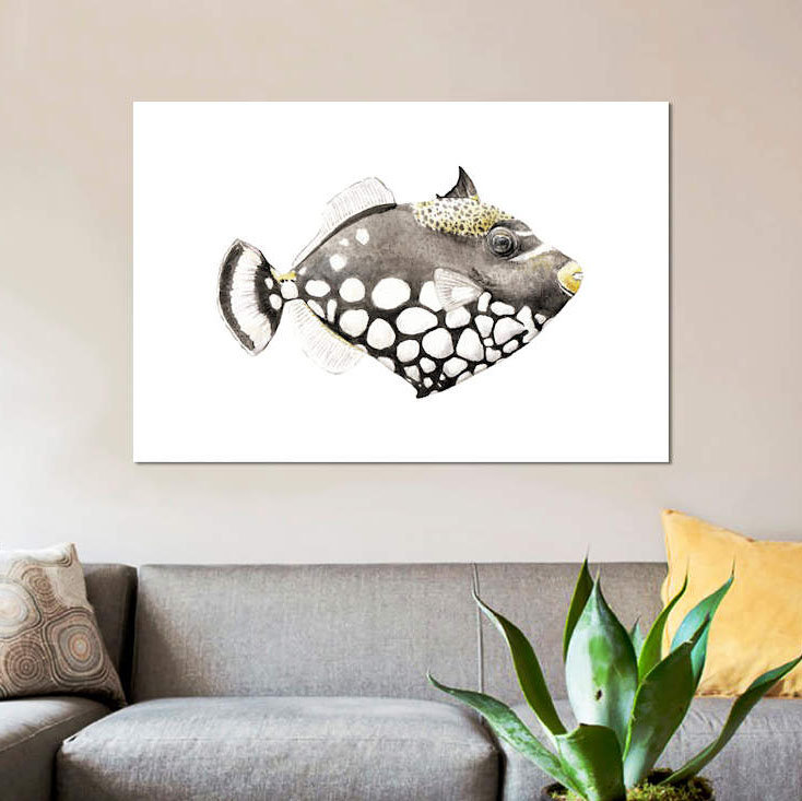 « tropical matin triggerfish », impression sur toile tendue, H 26 po x l 40 po x P 1,5 po, Pas de tapis, Toile tendue